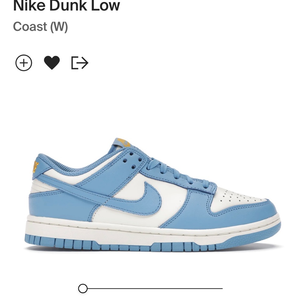 Nike Dunk Lows (Coast colorway)